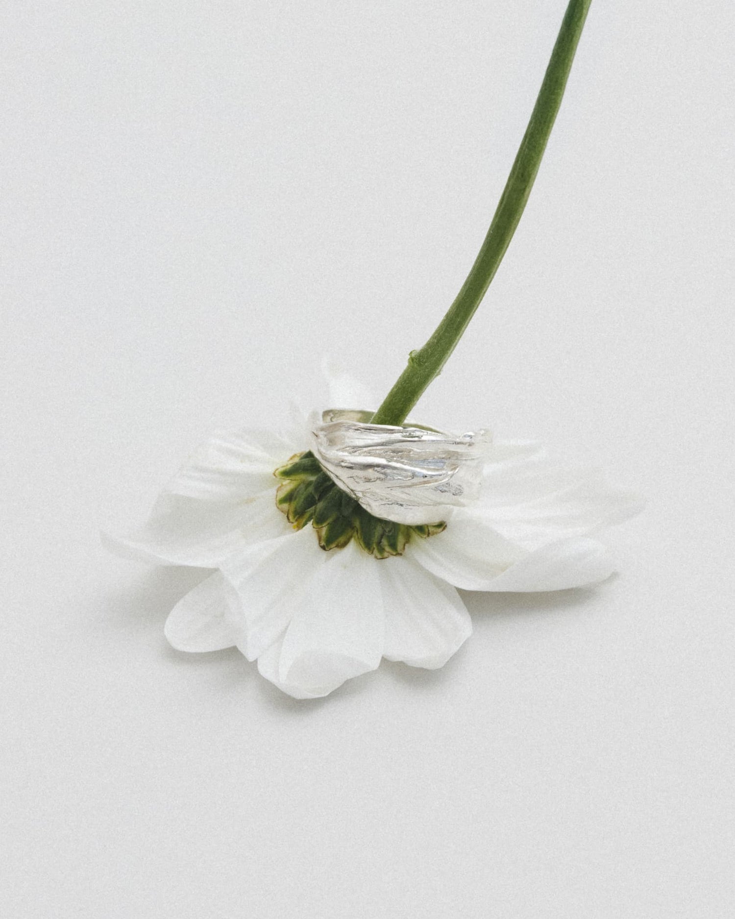 LMJ Baccello Ring in silver styled with a white flower – raw elegance meets softness