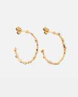 Gold drop earrings in a vertical layout highlighting the organic form.