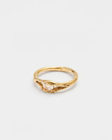 Nest Float Ring