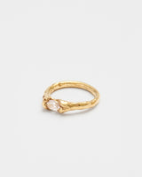 Nest Hug Ring