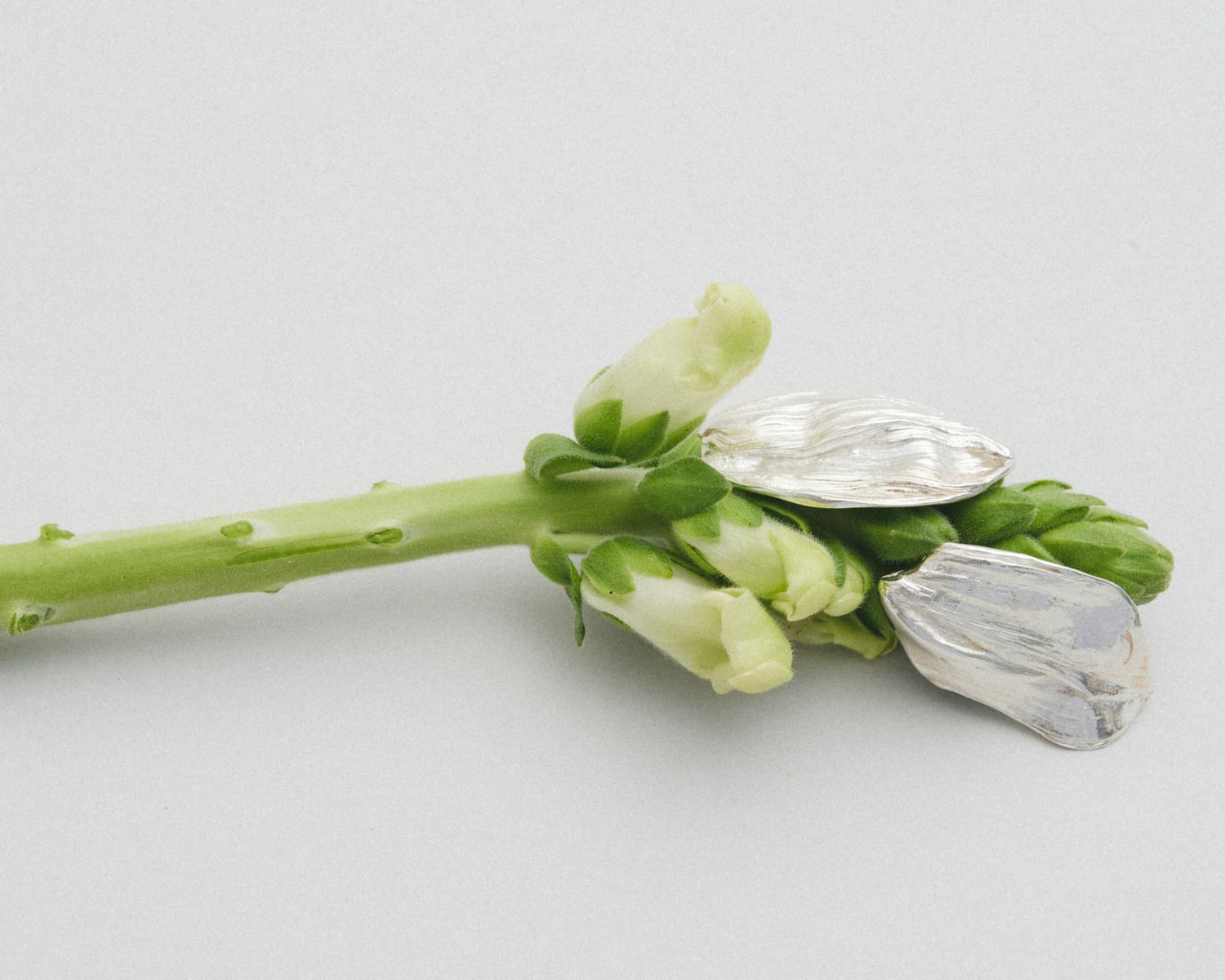 LMJ Petalo Earrings in silver styled with blooming flower – raw beauty and craftsmanship