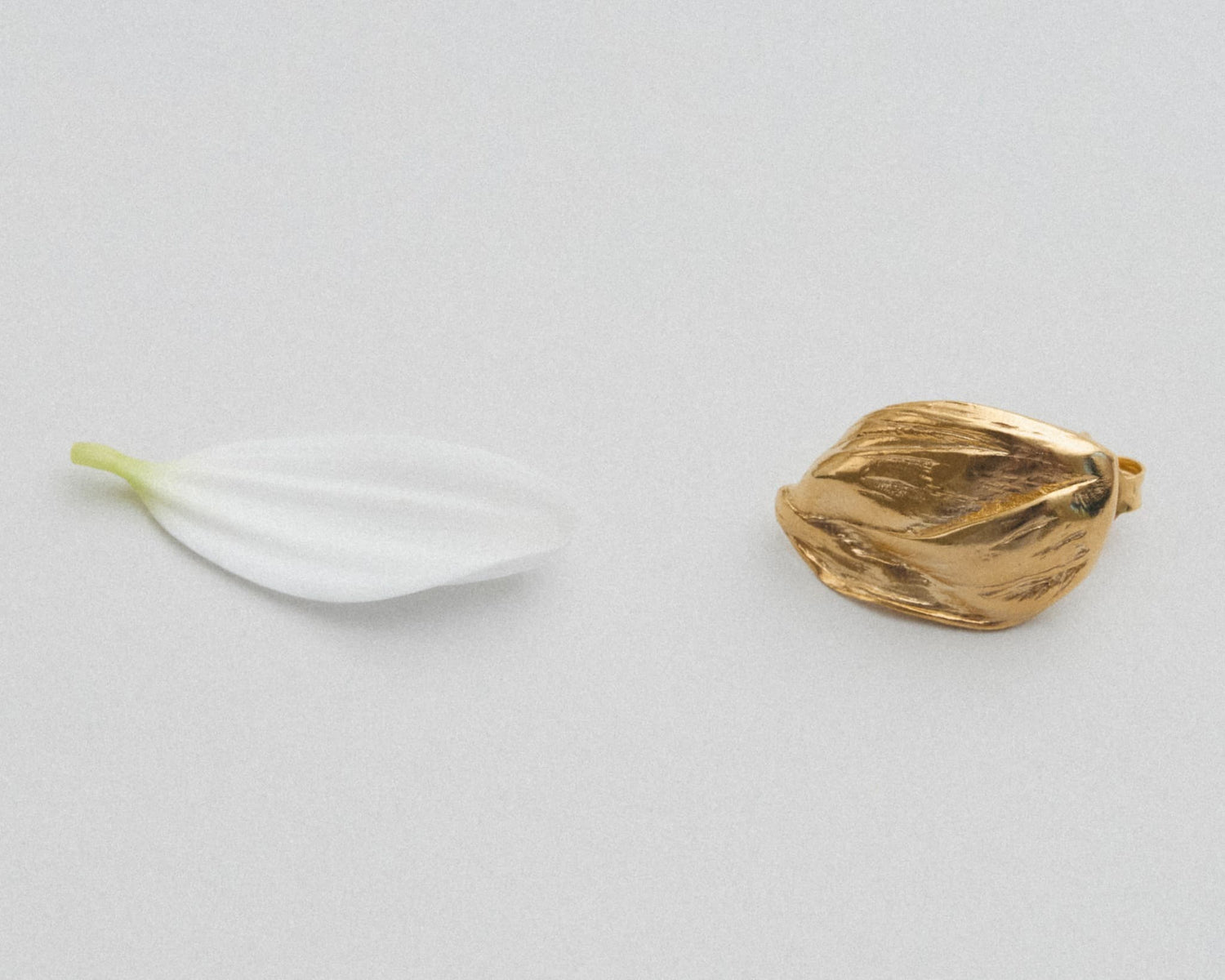 LMJ Petalo Mini Earring in gold styled with a white flower petal – inspired by organic symmetry