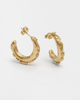 Spiral Hoop Earrings