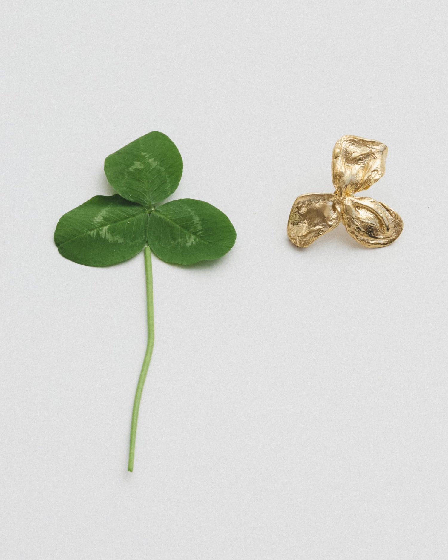 LMJ Trifoglio Maxi Earring in gold styled next to a clover leaf – symbolic and sculptural